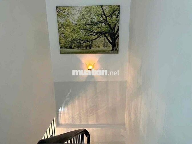 🎁Cho thuê hẻm 109// Lê Lợi P4 Gò Vấp 4,2❌10m 3pn 2wc Gần ĐHCN