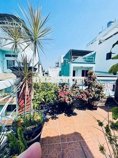 🔥 Q10 Bà Hạt – Nhà 30m², 3PN, Hẻm 5m, Sổ Riêng – 5.95 Tỷ TL Cực Hot!!!