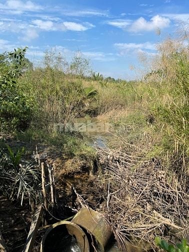 BÁN ĐẤT ĐẸP GẦN RẠCH PHƯỚC LONG – NHÀ BÈ