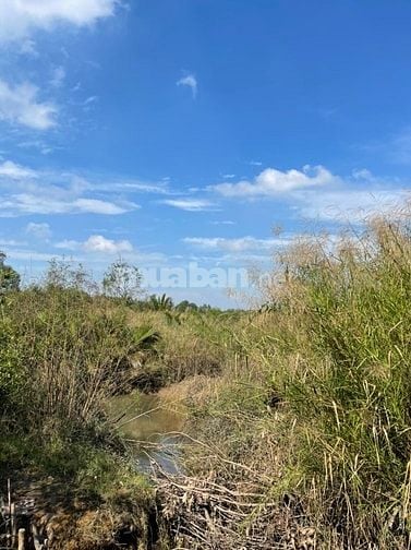 BÁN ĐẤT ĐẸP GẦN RẠCH PHƯỚC LONG – NHÀ BÈ