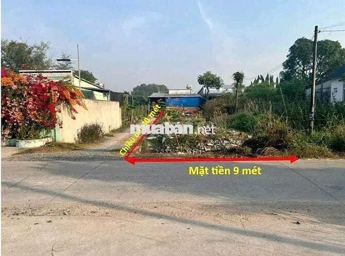 Cần Tiền Bán Gấp Lô Đất MT Đường Bê Tông Thông