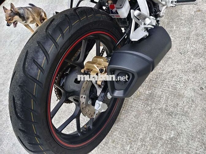 Winner 4444 bản trường đua