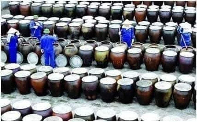 Mắm chắt nguyên chất đảo Cát Hải (giao Siêu tốc Hà Nội)