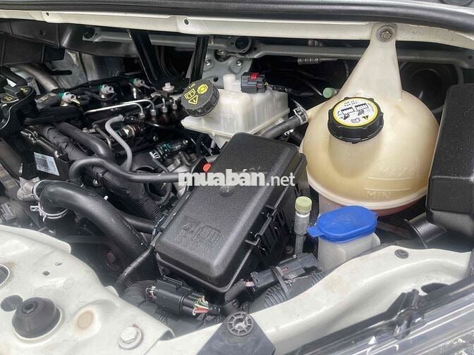 Ford Transit 16 chỗ đời 2019