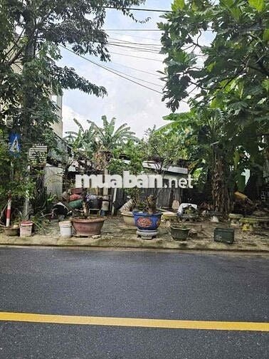 chính chủ gửi bán đất hoà phú 9