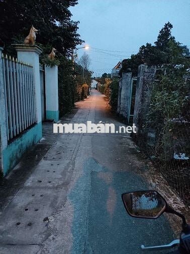 Đất thổ cư, 180m2, đường nhánh ĐX122