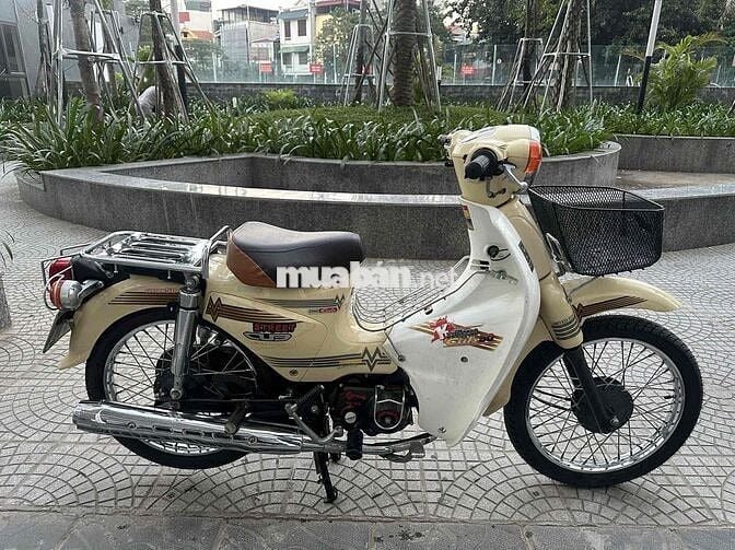 🛵🛵 Cub 50 học sinh, sinh viên