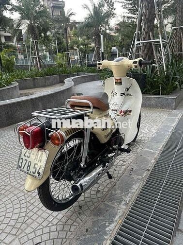 🛵🛵 Cub 50 học sinh, sinh viên