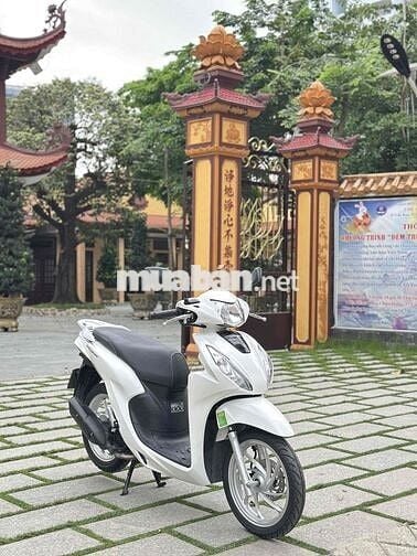 🌈 Vision 2022 Nguyên Zin - Gop 50% Bao Đậu