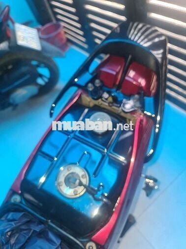 Shogun đã dọn chạy ngon