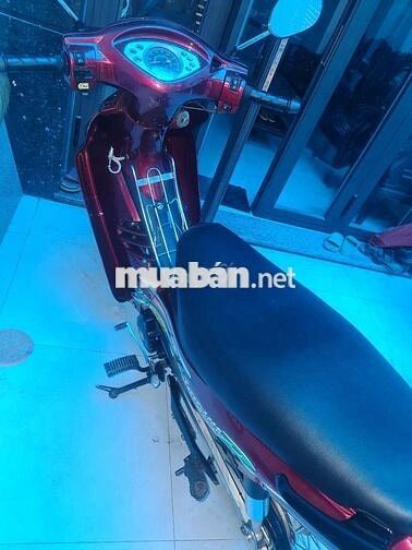 Shogun đã dọn chạy ngon