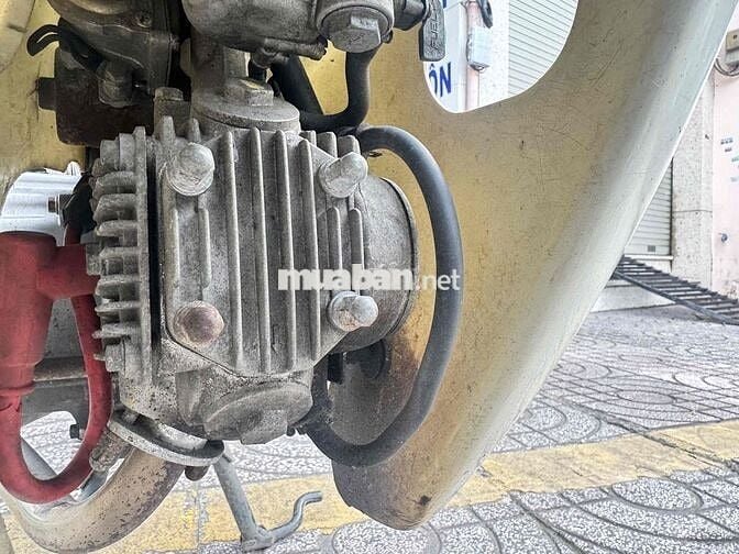 xe cub có đề bstp ngay chủ