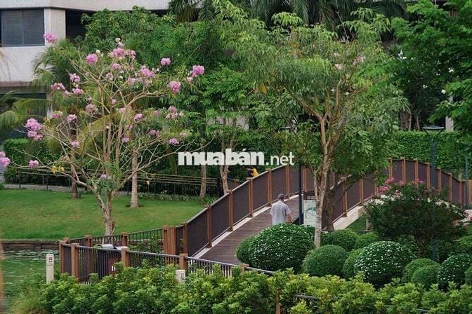 Căn hộ tầng trung CĐT Nhật Bản, Trellia Cove, Mizuki Park