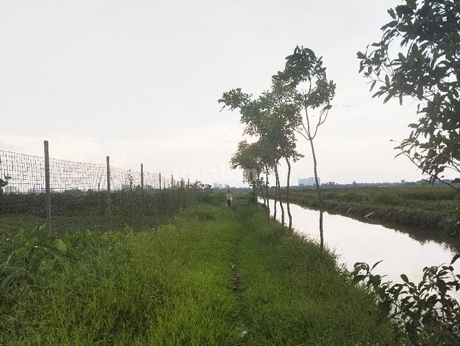 Chính chủ bán 1.100 m² đất nền làm homestay tại Đại Thanh, Tam Hiệp