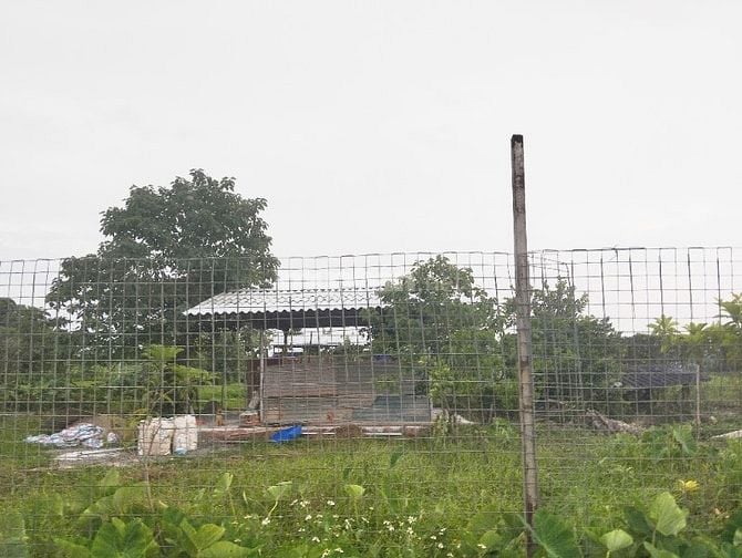 Chính chủ bán 1.100 m² đất nền làm homestay tại Đại Thanh, Tam Hiệp