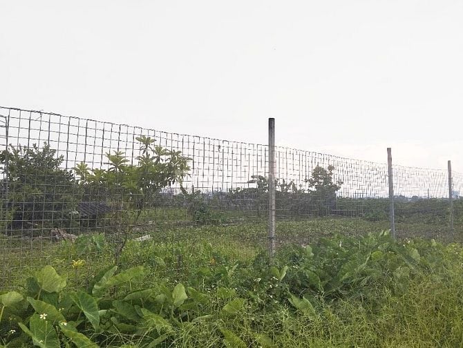 Chính chủ bán 1.100 m² đất nền làm homestay tại Đại Thanh, Tam Hiệp