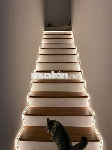 THUÊ NGAY SHOPHOUSELAVITA CHARM GIÁ  15TR/TH, NHẮN EM NGAY