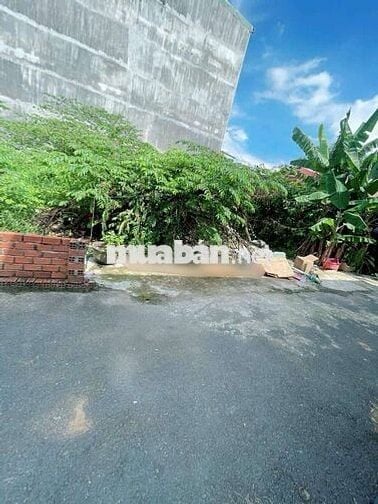 ĐẤT HẺM XE TẢI 5M, BÙI THỊ XUÂN, P. TÂN BÌNH, DĨ AN, TPHCM.