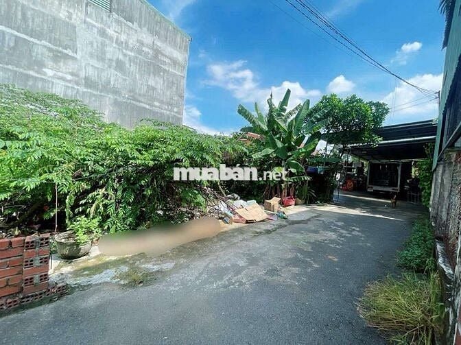 ĐẤT HẺM XE TẢI 5M, BÙI THỊ XUÂN, P. TÂN BÌNH, DĨ AN, TPHCM.