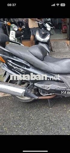 xe maạety cọp đồng hồ điện tử bstp chính chủ