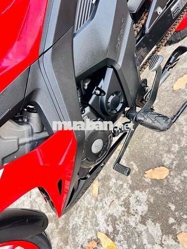 cần bán sonic cọp