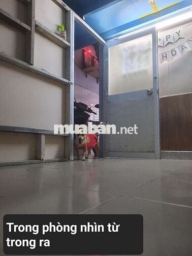 Phòng Q3, hẻm oto, an ninh (chung chủ)