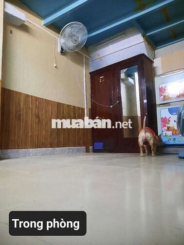 Phòng Q3, hẻm oto, an ninh (chung chủ)