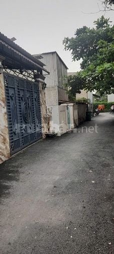 Quá Đẹp Ngay Trường TH Lê Văn Lương 02 Tầng, DT 4,5x25m