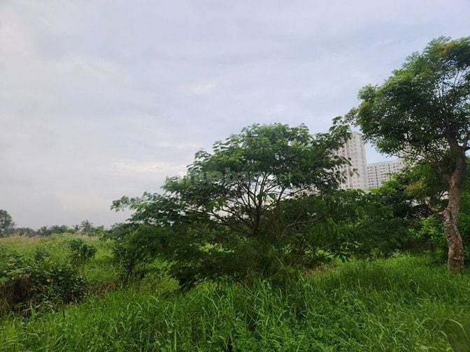 Bán Góc 2MT 1099M2 Thổ Ngay Đường DT830, ngay KCN Long sơn, Giá: 1.9Tỷ