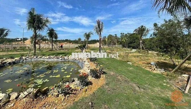 KẸT TIỀN BÁN GẤP ĐẤT THỔ CƯ GIÁ RẺ