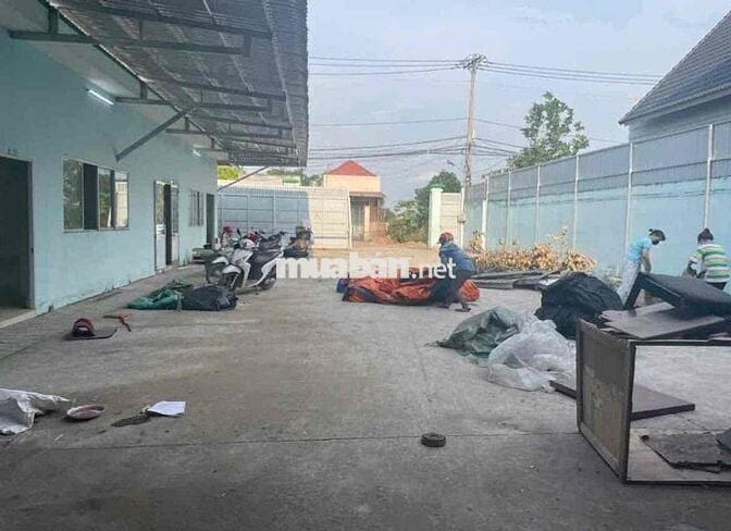 Cần cho thuê 2000m - cont 24/7