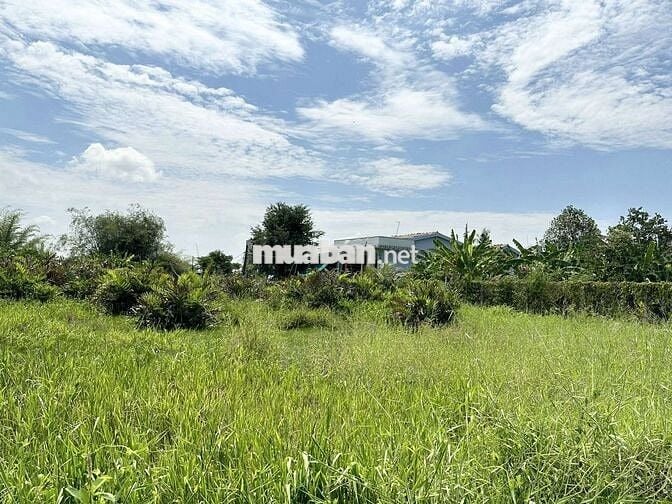 Hơn 400 Triệu.MẶT TIỀN NHỰA RẺ HƠN Bê Tông-Nhựa Nguyễn Văn ThanhSổ Sẵn