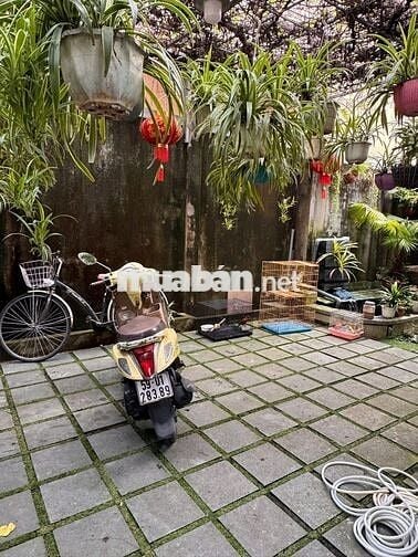 Cho thuê nhà nguyên căn có sân vườn, nơi đậu ô tô giá tốt