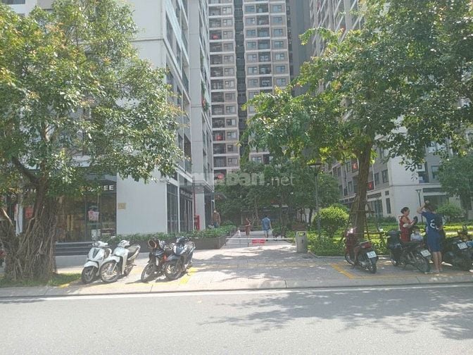 Bán shop ocean park 1  vew mặt đường đỗ đc ô tô -xe máy