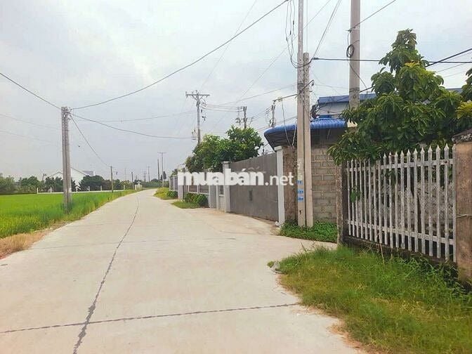 Chỉ 550tr sở hữu 146m2 đất thổ cư đường ô tô nguyễn văn vịnh