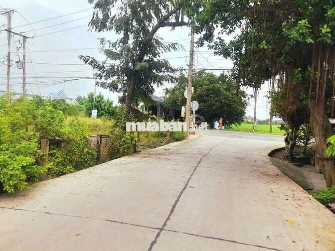 Chỉ 550tr sở hữu 146m2 đất thổ cư đường ô tô nguyễn văn vịnh