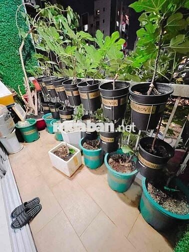98m2 - 3PN CÓ BAN CÔNG - KHO LỚN - GIÁ TỐT CHỐT NHANH