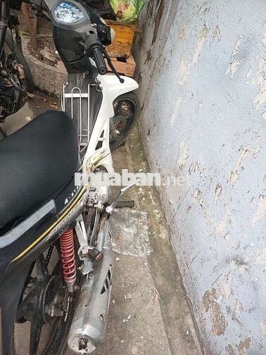 Bán si nhật máy ngon