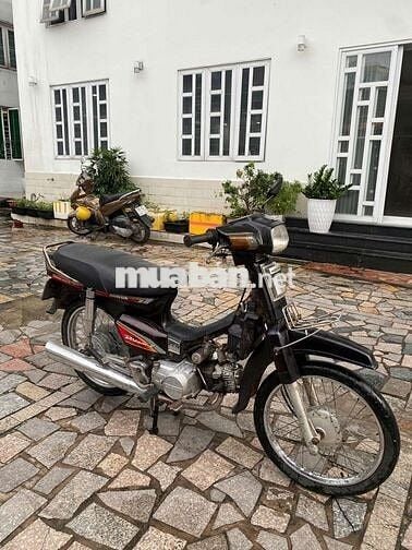 Xe dream Hàn Quốc bstp