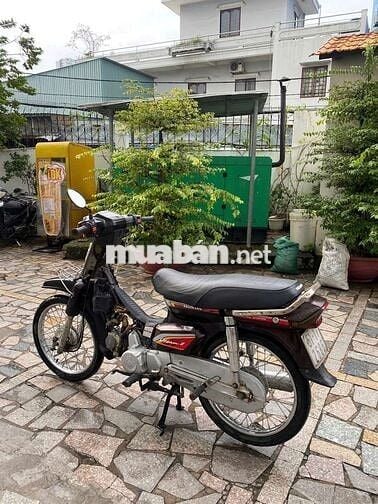 Xe dream Hàn Quốc bstp