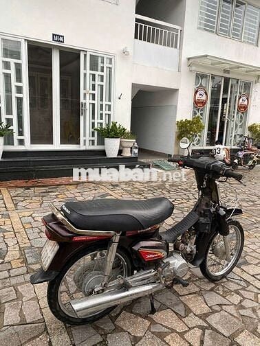 Xe dream Hàn Quốc bstp