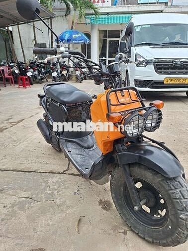 Honda Zoomer 50cc màu Cam