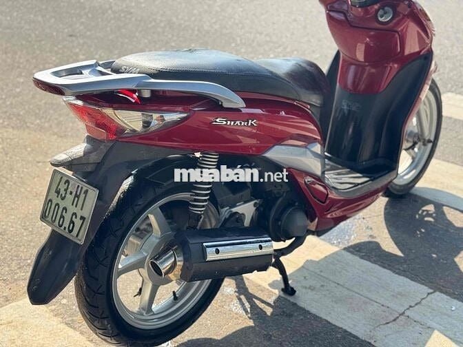 sh ark biển 43 chính chủ