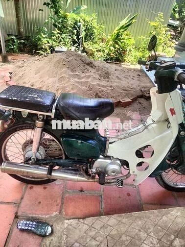 Honda Cub Xanh lá, trắng