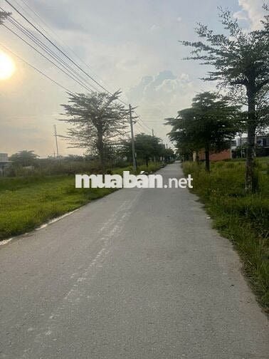Cuối năm gia đình kẹt tiền cần bán lô đất măt tiên nhưa gần xã Mỹ hạnh