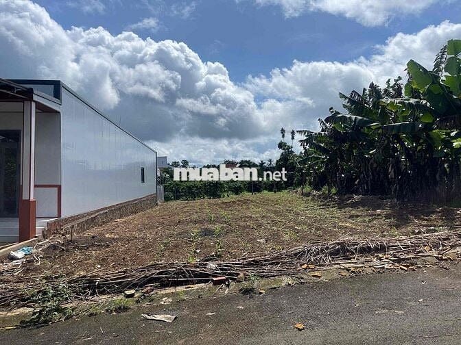 Đất Lộc An - Bảo Lâm - 158,7m2 (6mx32m) sẵn 100 thổ cư chỉ 4,4tr/m2