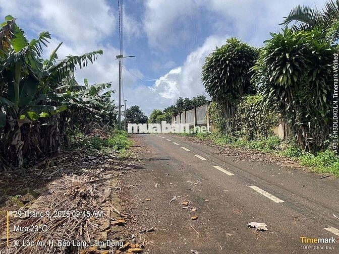 Đất Lộc An - Bảo Lâm - 158,7m2 (6mx32m) sẵn 100 thổ cư chỉ 4,4tr/m2