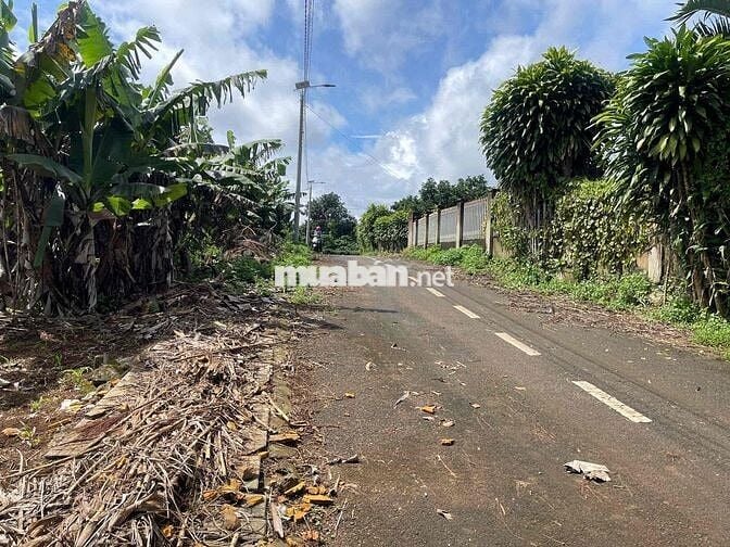 Đất Lộc An - Bảo Lâm - 158,7m2 (6mx32m) sẵn 100 thổ cư chỉ 4,4tr/m2