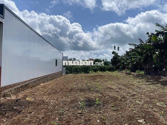 Đất Lộc An - Bảo Lâm - 158,7m2 (6mx32m) sẵn 100 thổ cư chỉ 4,4tr/m2