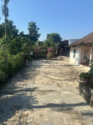 Bán 1320m2 đất trong đó có 250m2 đất thổ cư, tại Văn Sơn, Hoàng Văn Th